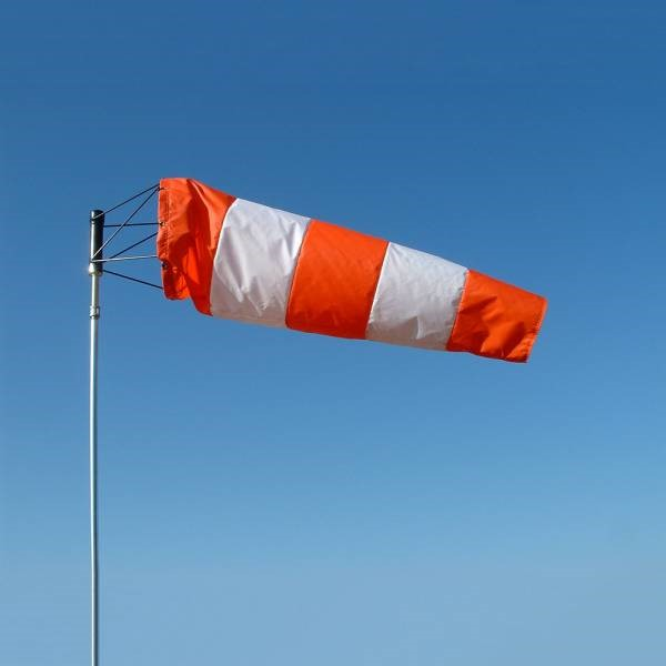 MANGA DE VIENTO